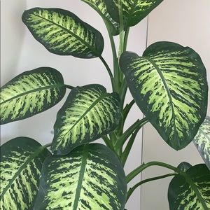 Meet your Posher, Olga